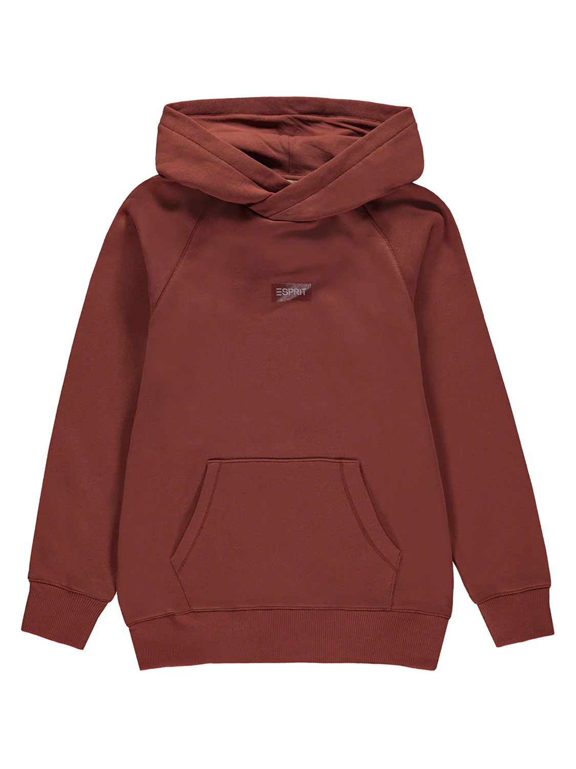 Hoodie Braun
