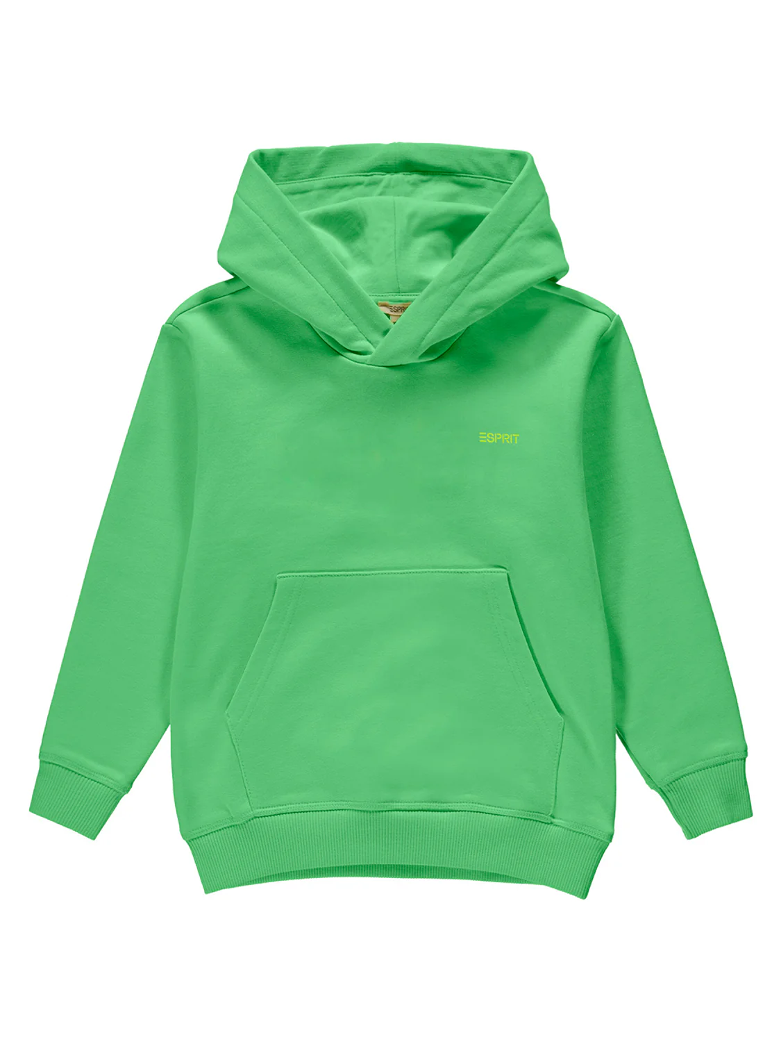 Hoodie Grün