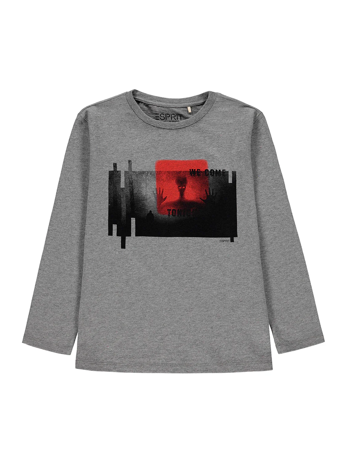 Longsleeve Grau