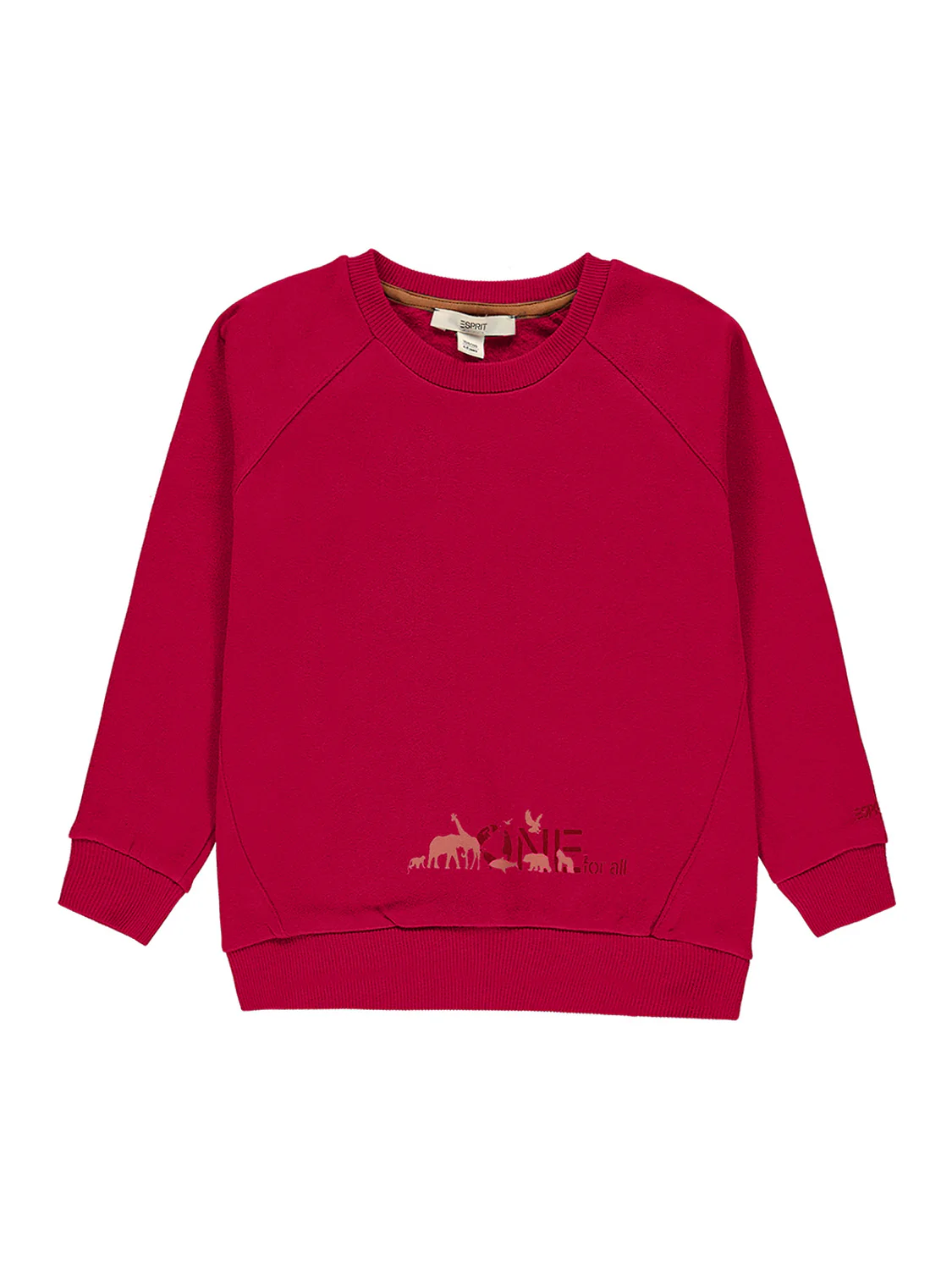 Sweatshirt Rot