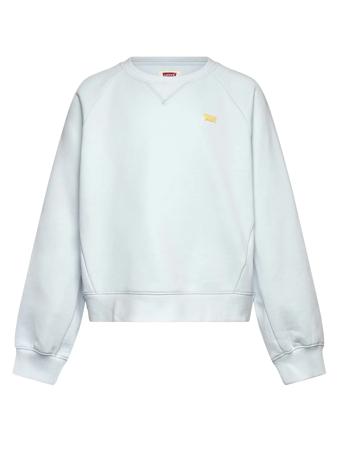 Sweatshirt Hellblau