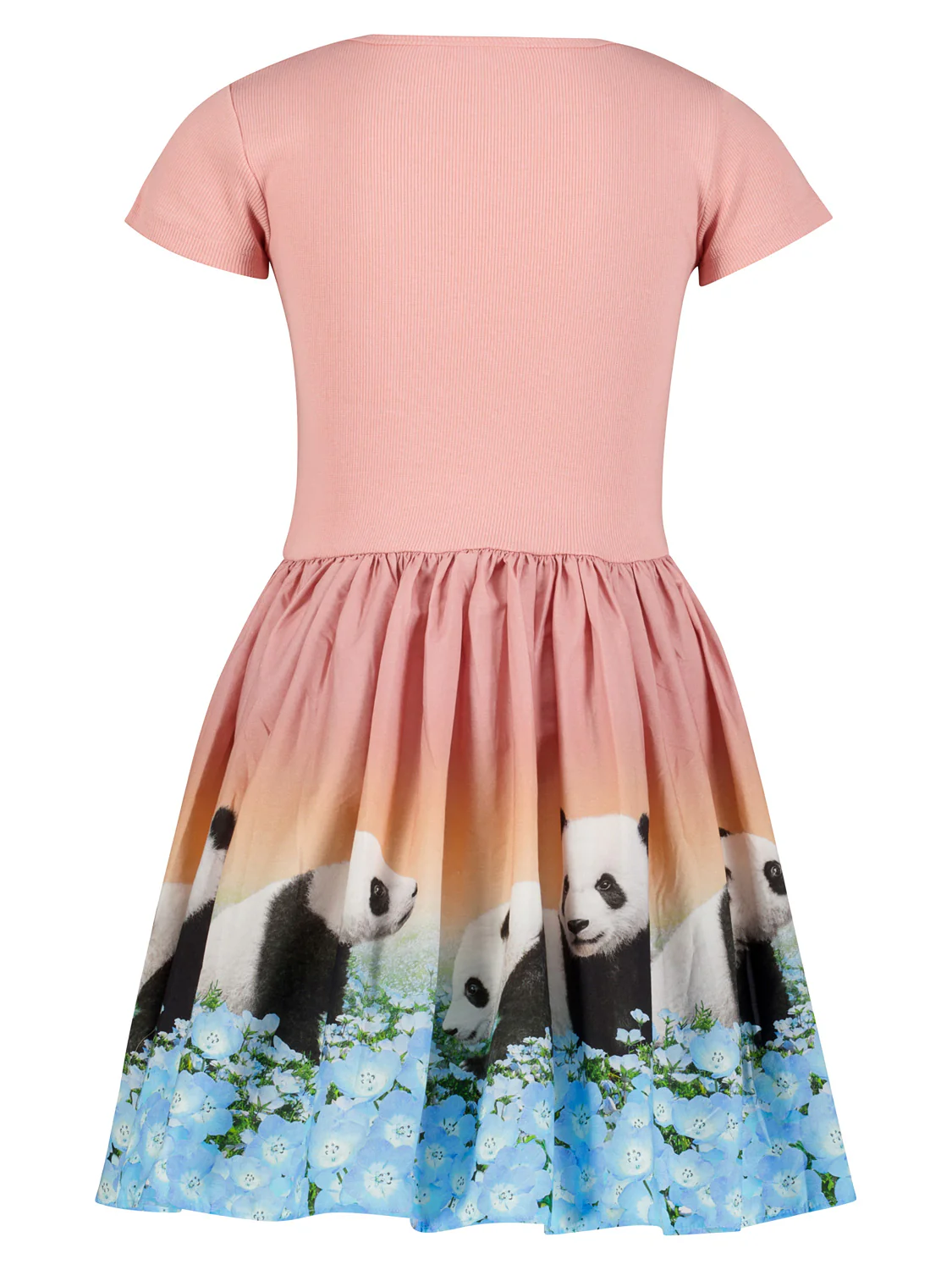 Kleid Cissa Rosa - Image 3