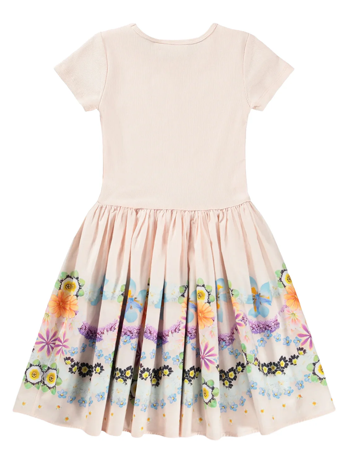 Kleid Cissa Rosa - Image 4