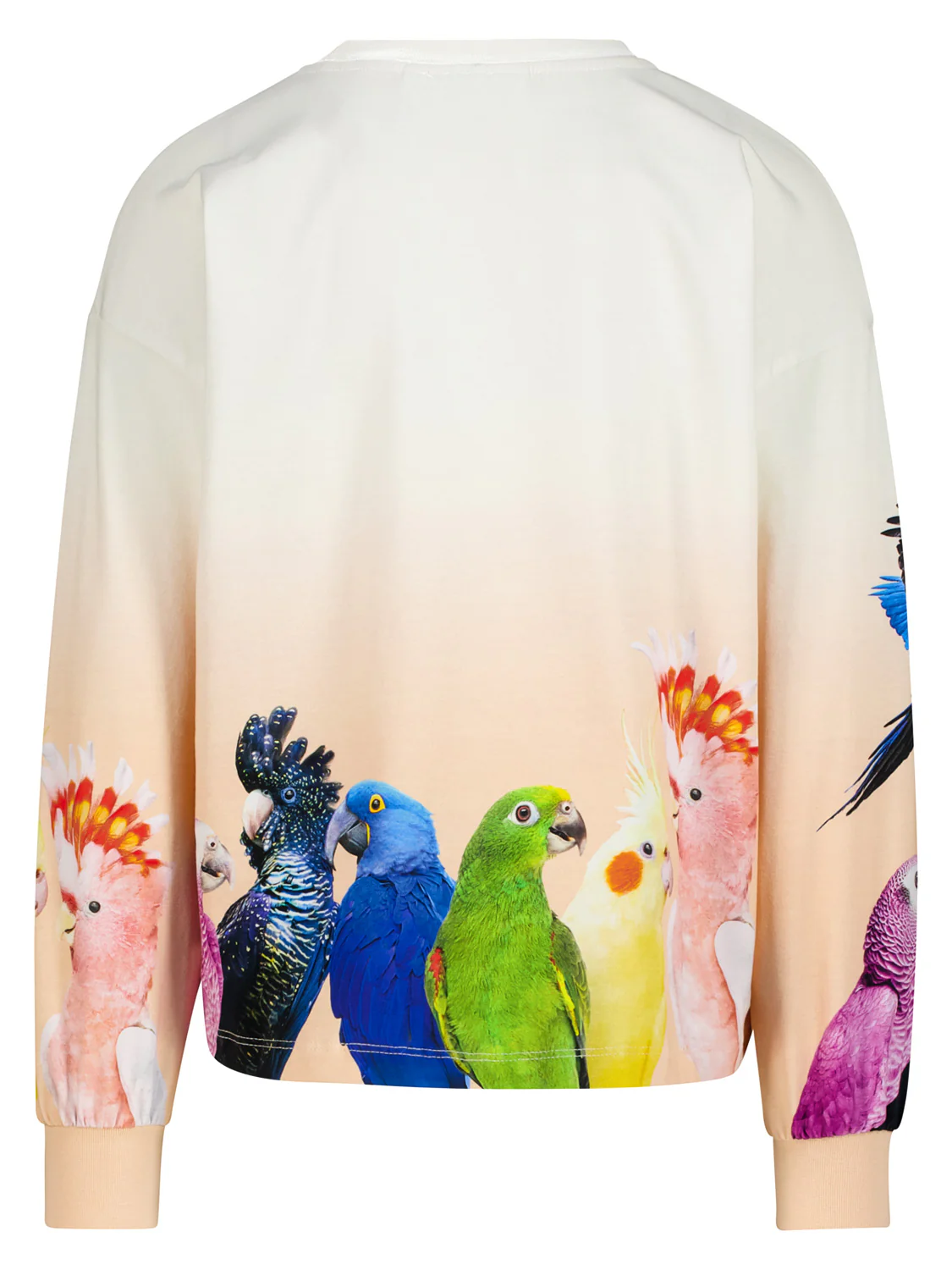 Longsleeve Reniza Cremeweiß - Image 2