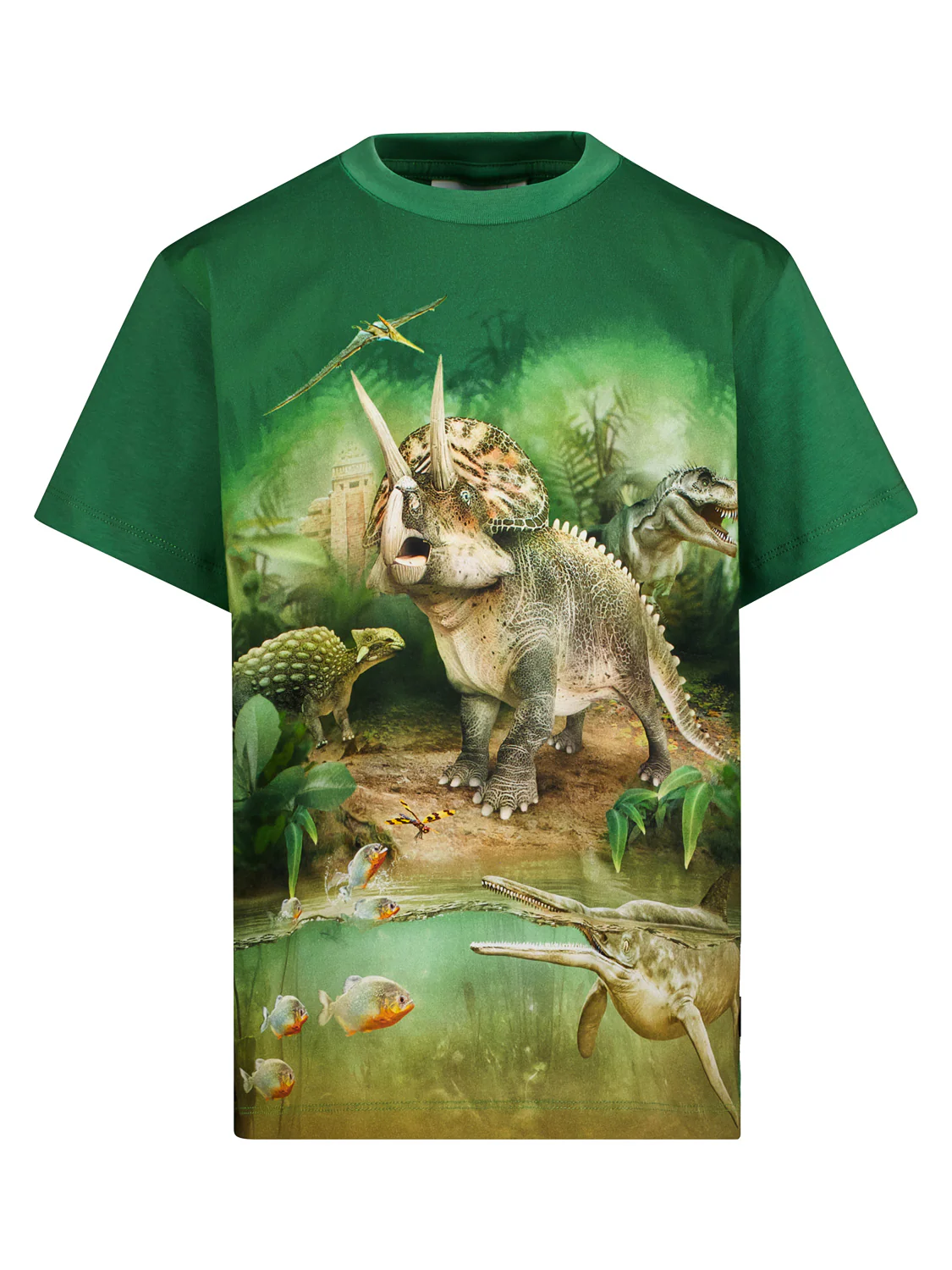 T-Shirt Riley Grün