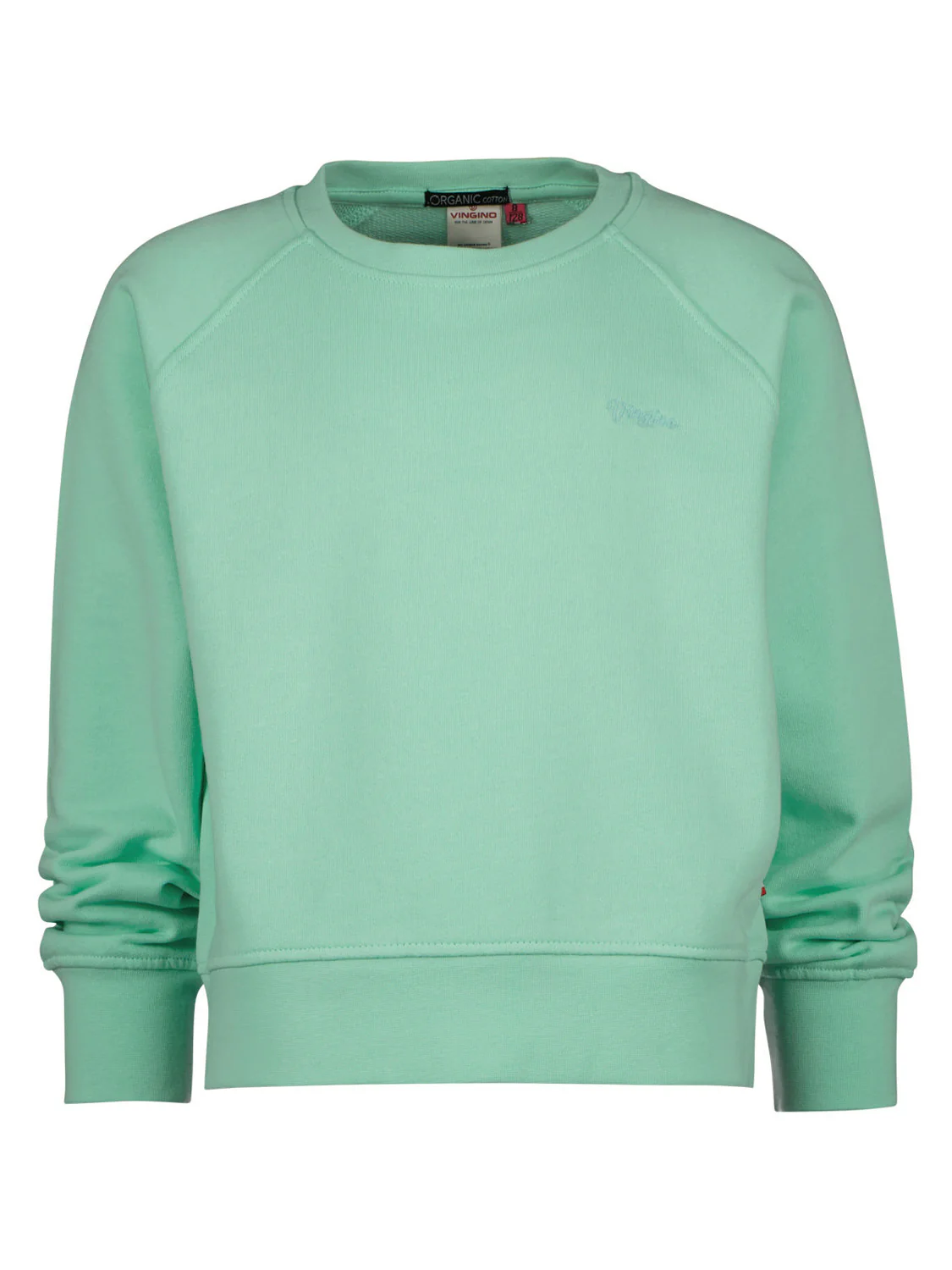 Sweatshirt G-BASIC-SWEAT-RNLS Grün