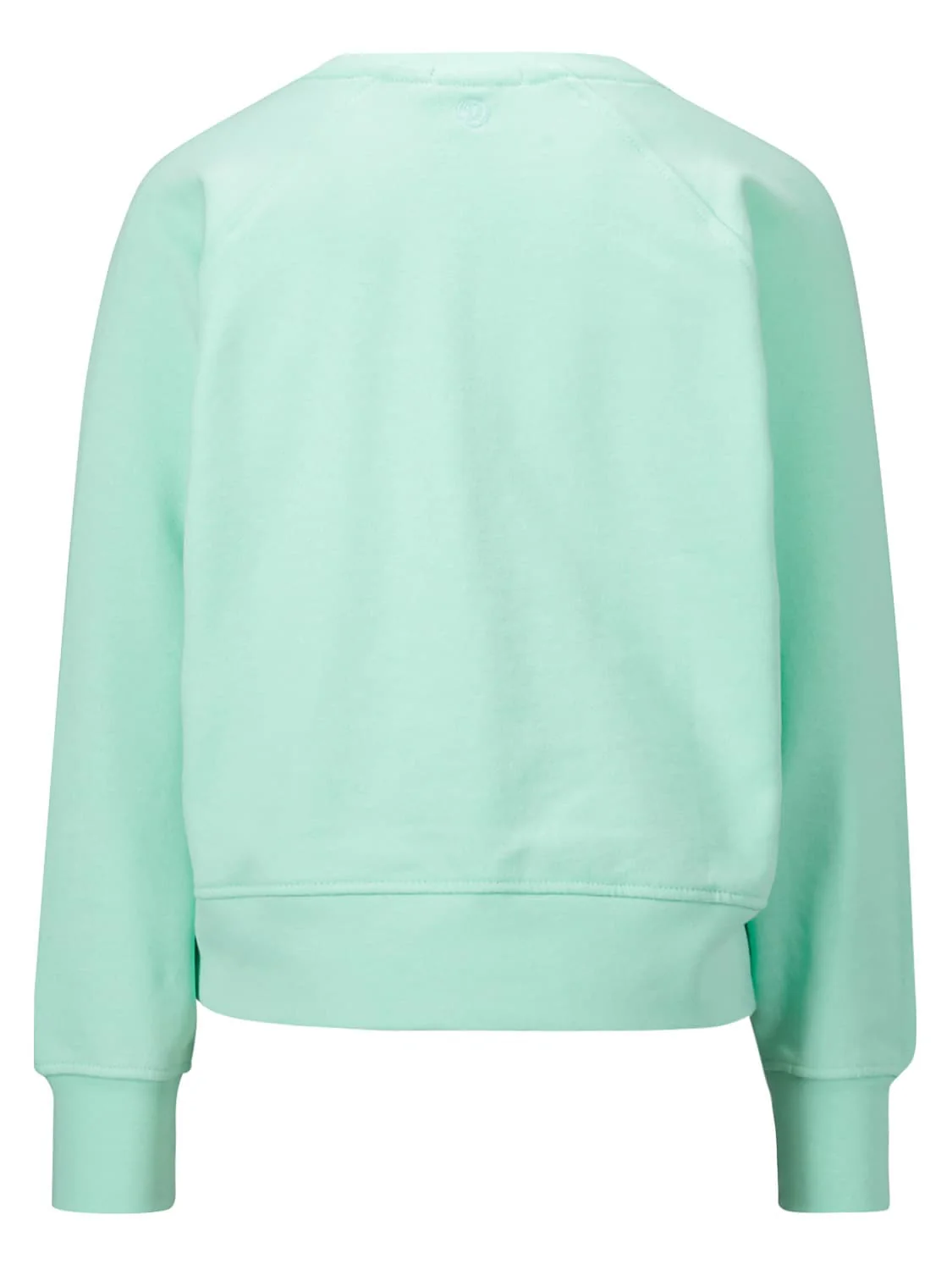 Sweatshirt G-BASIC-SWEAT-RNLS Grün - Image 2