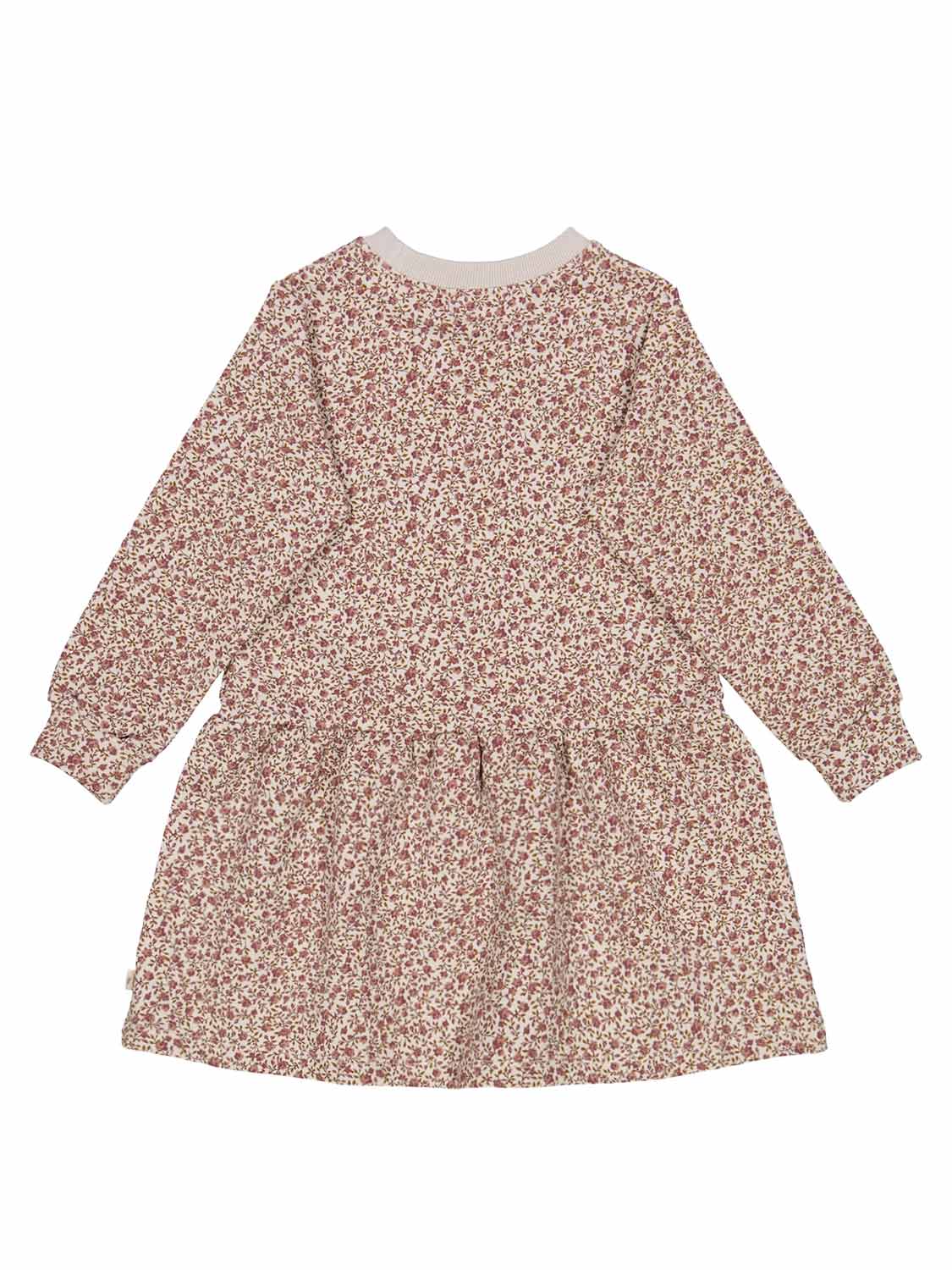 Kleid Apricot - Image 3